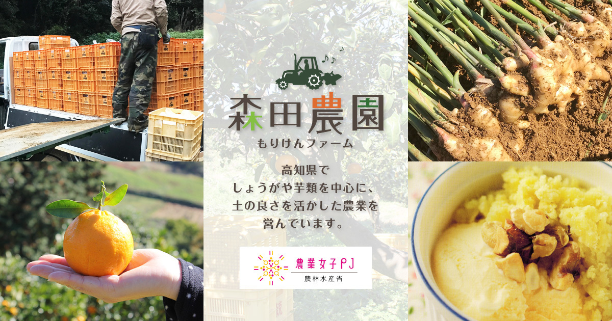 森田農園について｜高知県吾川郡いの町八代地区の専業農家森田農園の紹介